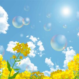 新学年が始まりました！